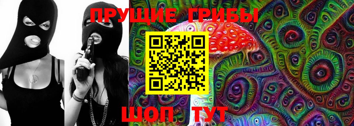 наркота  Псилоцибиновые грибы Cubensis  Вход с VPN  Псилоцибиновые грибы MAGIC MUSHROOMS  Светлоград 